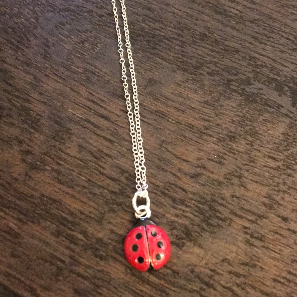 Lady bug necklace